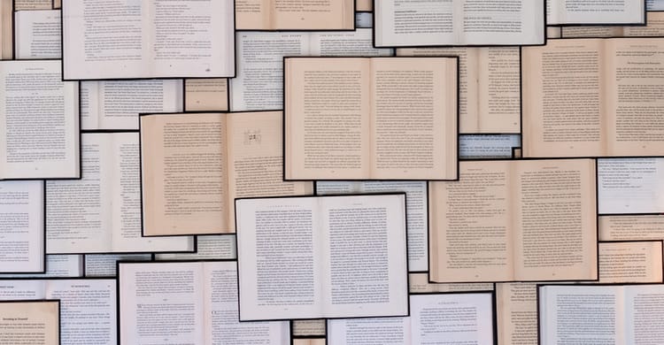 Book report for June 2025
