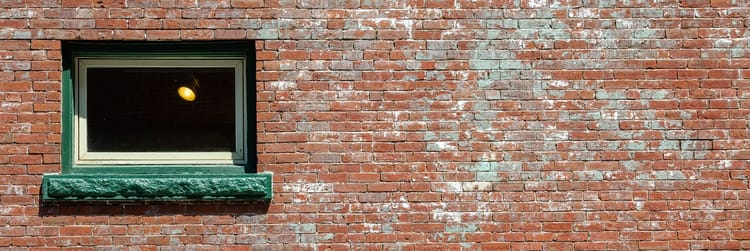 Book report for November 2025