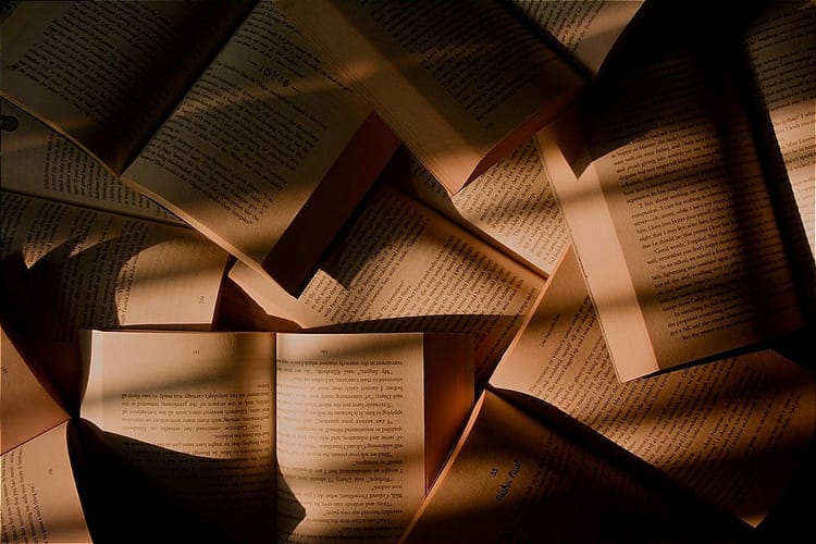 Book report for January 2026